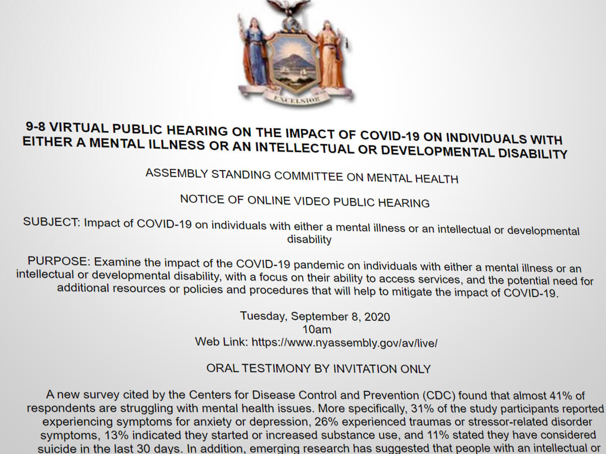 Screenshot of the official New York State NOTICE OF ONLINE VIDEO PUBLIC HEARING associated with this event (link included in story)