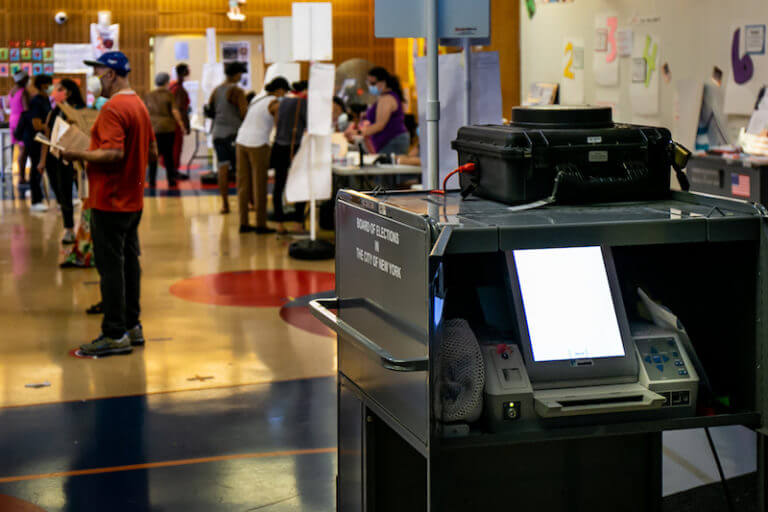 Voters at the Polls